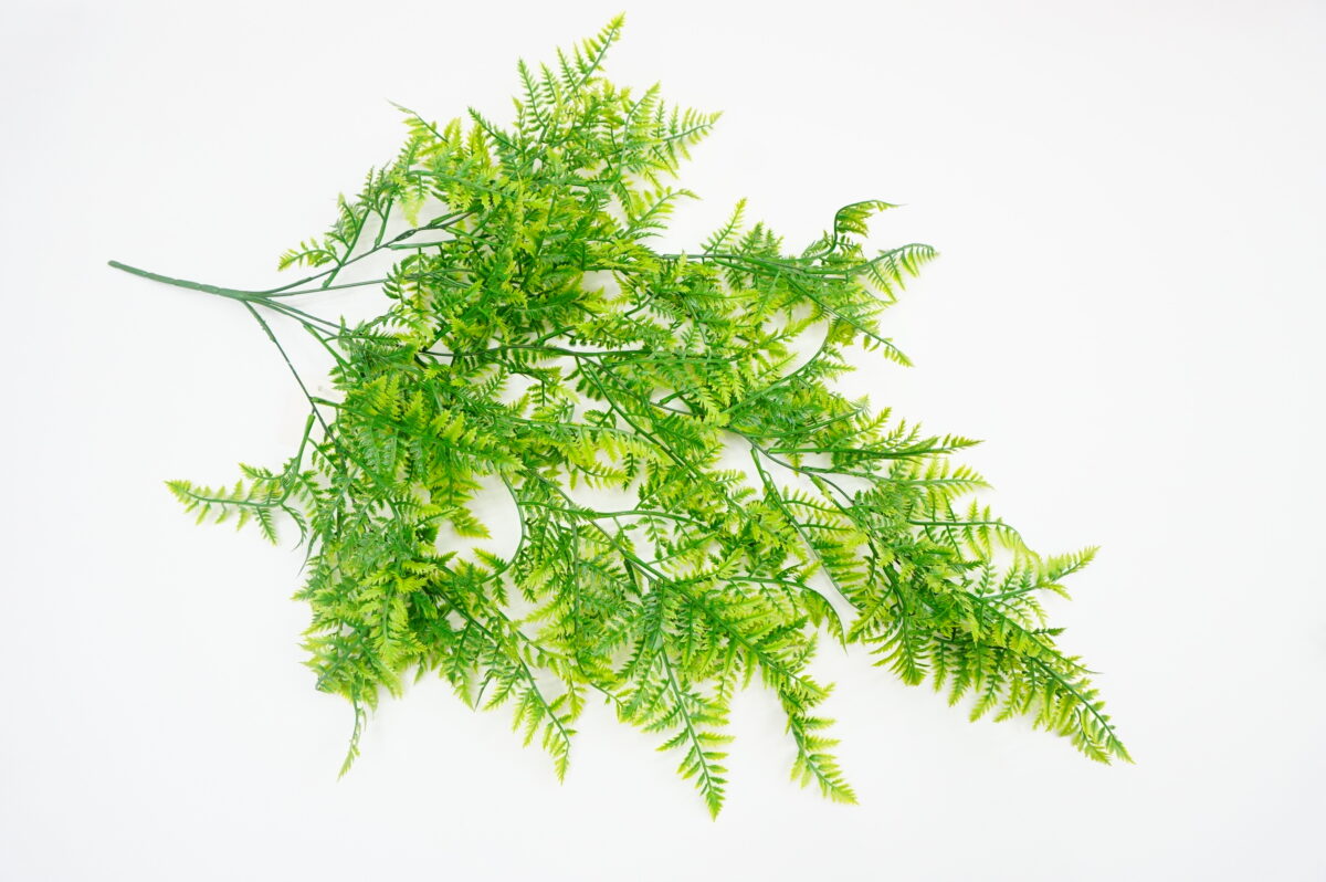 silk leaf shrub plant supplier-36 - Image 2