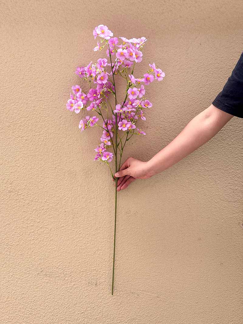 Daphne flower arrangement decoration - Image 10