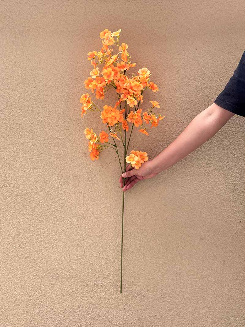 Daphne flower arrangement decoration - Image 9